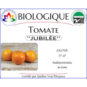 Plant de tomate Jubilée