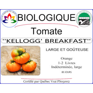 Plant de tomate Kellogg's Breakfast