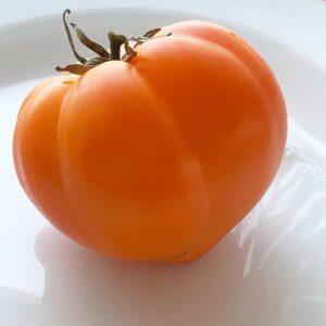 Plant de tomate Orange Strawberry