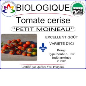 Plant de tomate cerise Petit Moineau