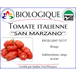 Plant de tomate Italienne San Marzano