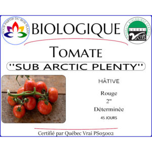 Plant de tomate Sub Artic Plenty