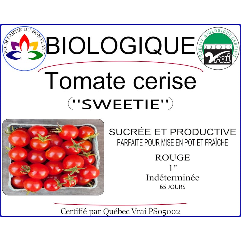 Plant de tomate cerise Sweetie
