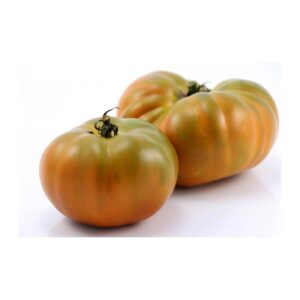 Plant de tomate Thorburn's Terracotta