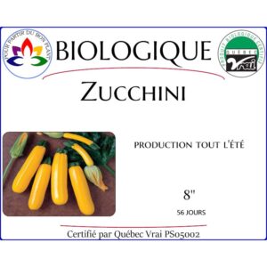 Plant de zucchini jaune