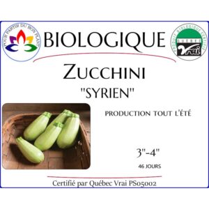 Plant de zucchini Syrien
