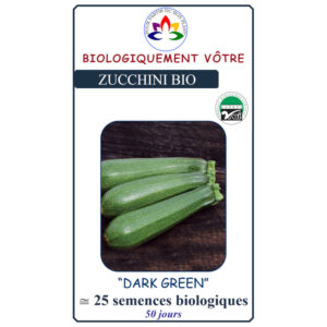 Zucchini Dark Green
