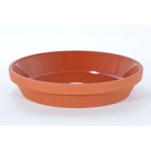 soucoupe glacée allemagne terre cuite