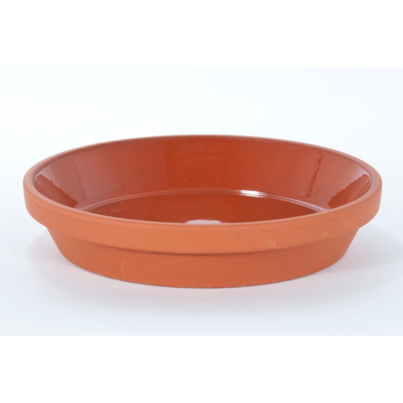 soucoupe glacée allemagne terre cuite