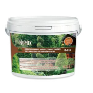 engrais arbres arbustes conifère tree shrub cedar fertiliser