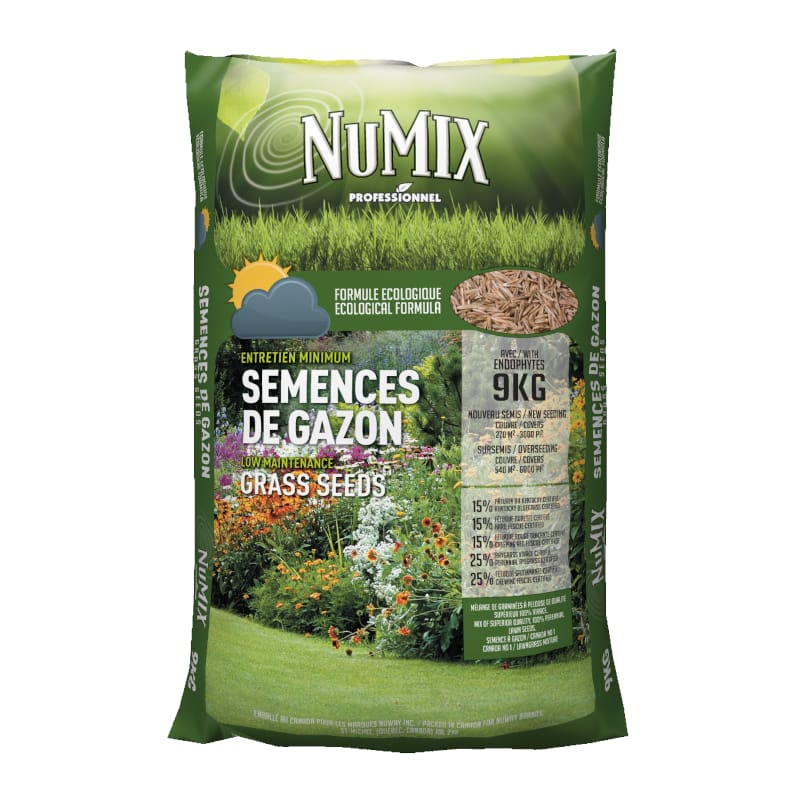 numix semence gazon ecologique
