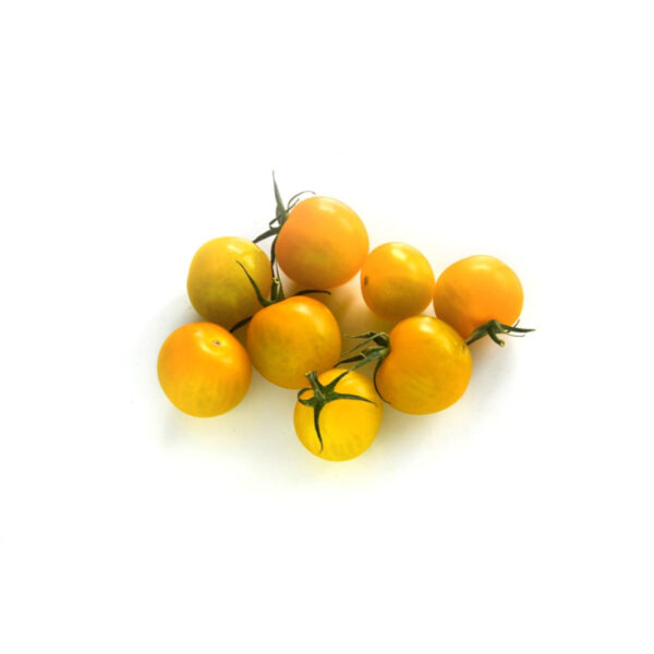 Tomate cerise jaune tomato