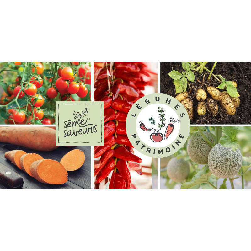 Légumes du Patrimoine Sème-Saveurs