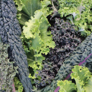 Caissette de Kale mixte