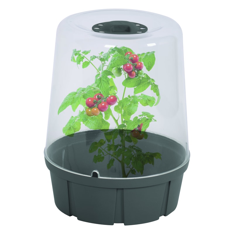 Mini serre de culture ronde