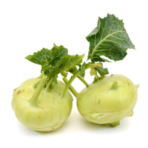 plant de chou rave bio