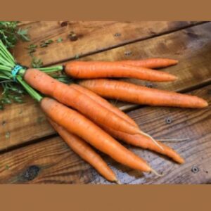 carotte dolciva