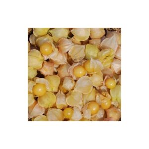 cerise de terre little lantern