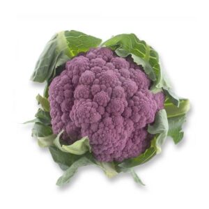chou-fleur pourpre
