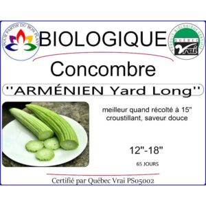 concombre armenien yard long