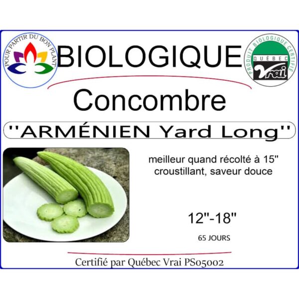 concombre armenien yard long