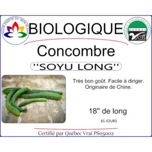 concombre soyu long