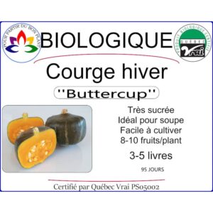Plant de Courge d'hiver Buttercup