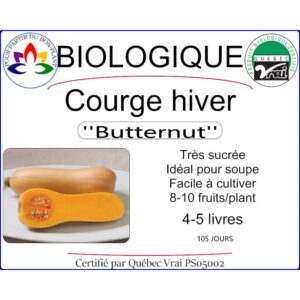 Plant de Courge d'hiver Butternut