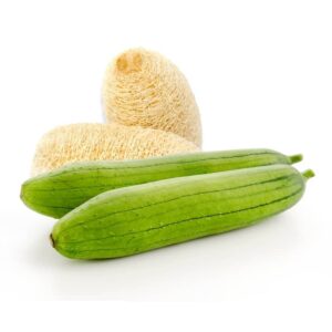 courge luffa éponge zou sing
