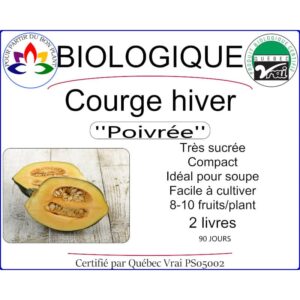 Plant de Courge d'hiver Poivrée