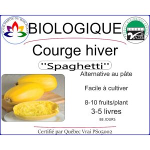 Plant de courge d'hiver Spaghetti