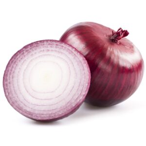 plant d'oignon rouge