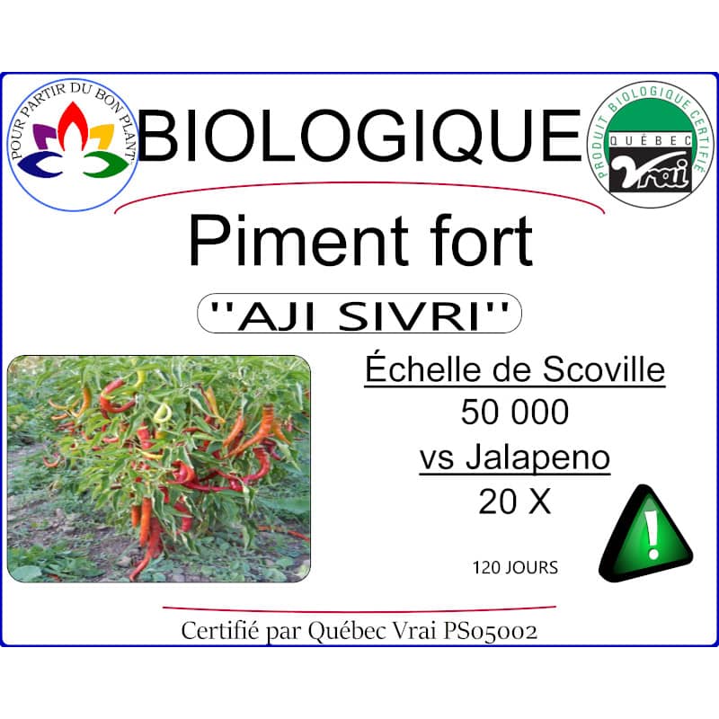 piment aji sivri