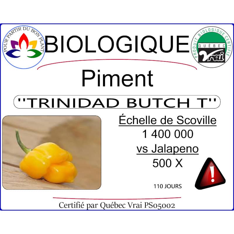 piment butch t jaune