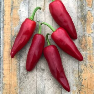 piment espelette gorria