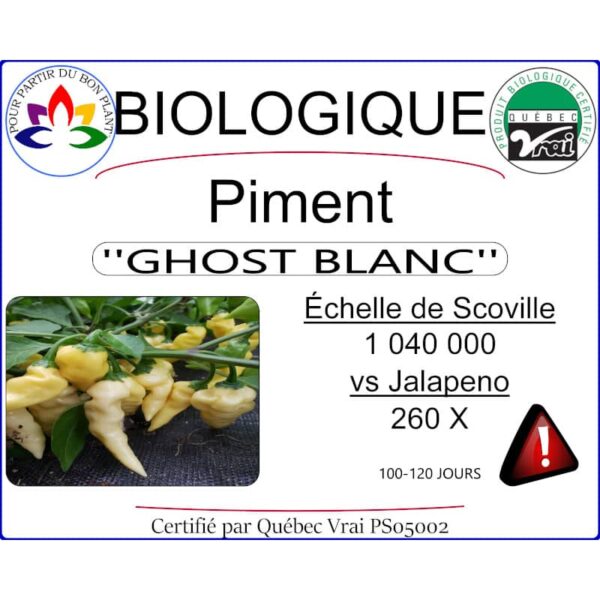 piment fort ghost blanc