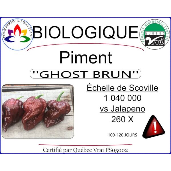 piment fort ghost brun