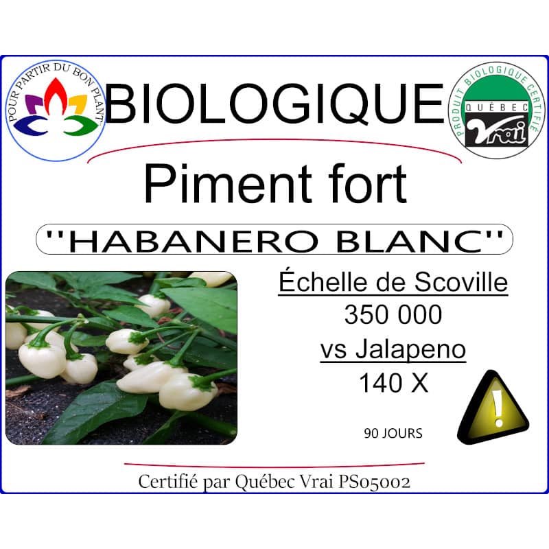 piment fort habanero blanc