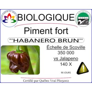 piment fort habanero brun