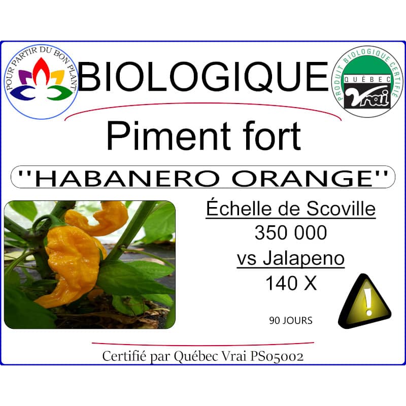 piment fort habanero orange