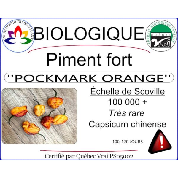 piment pockmark orange