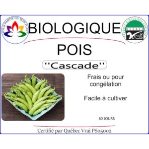 Plants en Caissette de Pois Vert