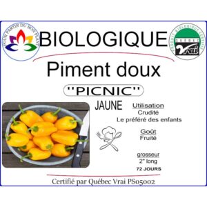 poivron picnic jaune