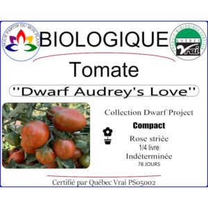 Plant de tomate Audrey's Love