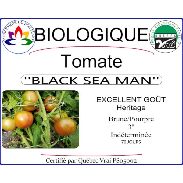 tomate black sea man