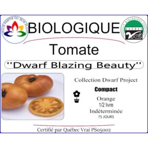 Plant de tomate Blazing Beauty