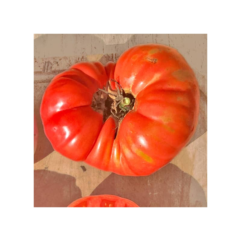 tomate mémé de Beauce