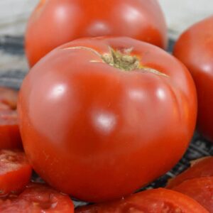 tomate moskovich
