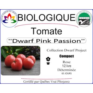 Plant de Tomate Pink Passion