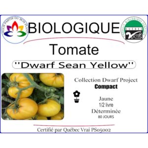 Plant de Tomate Sean Yellow